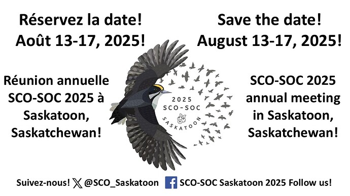 SCO-SOC Picoides ad-1(1)