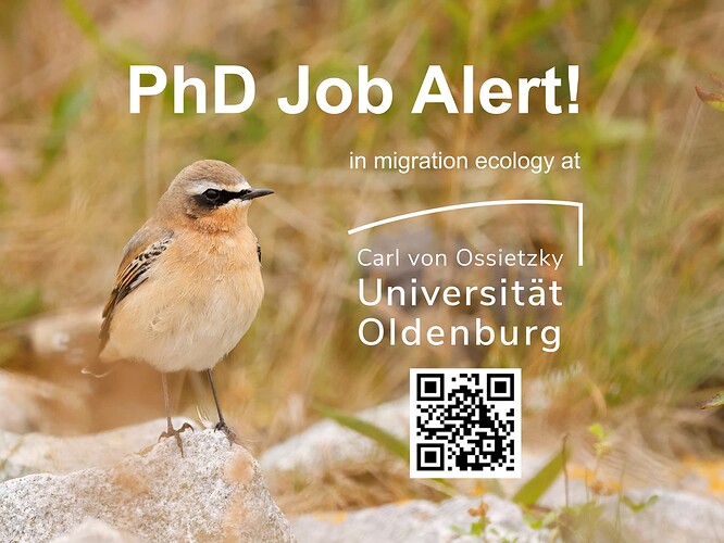Job alert PhD 2
