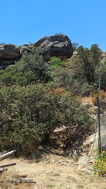 2024-08-04-12-28-10-063