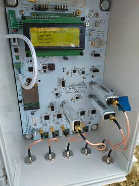 WhatsApp Image 2024-11-08 at 20.08.51