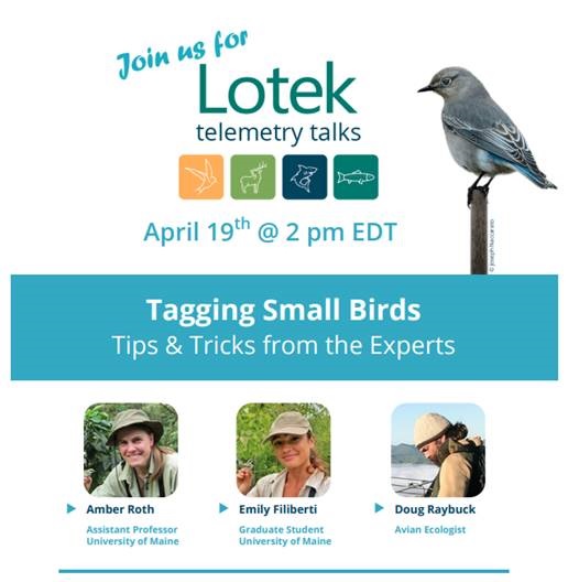 Webinar 23 Small Birds.jpg